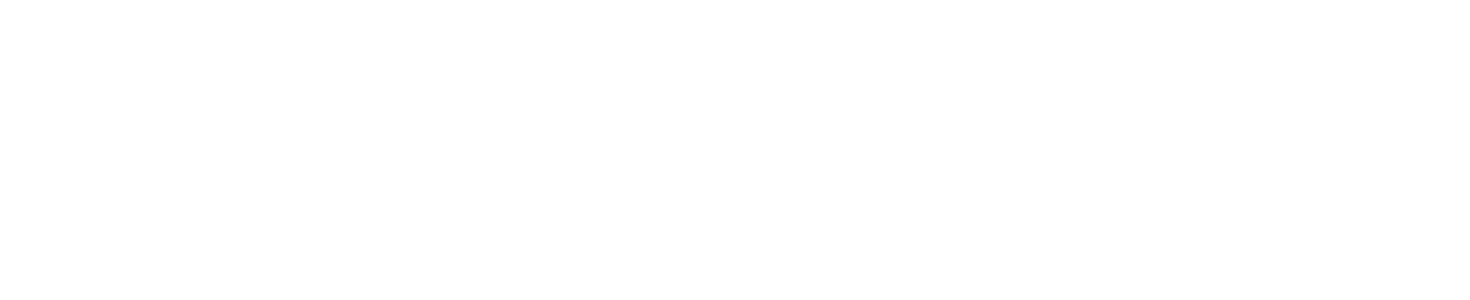 The Webnest Studio